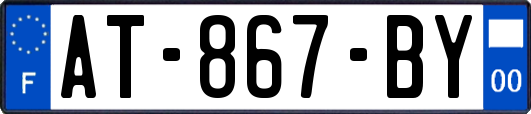 AT-867-BY