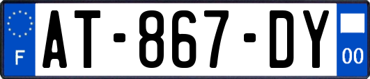 AT-867-DY