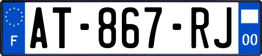 AT-867-RJ