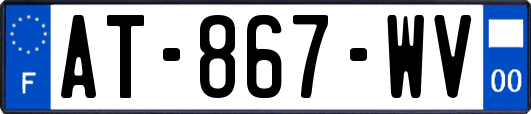 AT-867-WV
