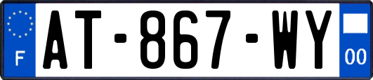 AT-867-WY
