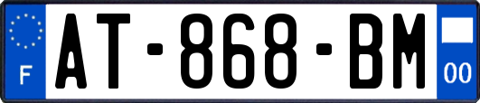 AT-868-BM