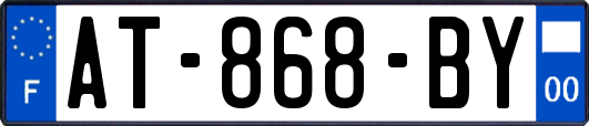 AT-868-BY