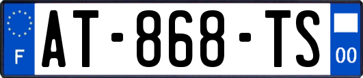 AT-868-TS