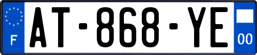 AT-868-YE
