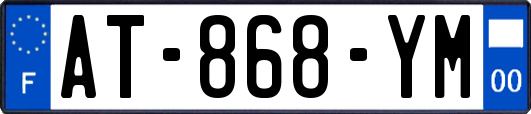 AT-868-YM
