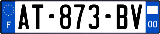 AT-873-BV