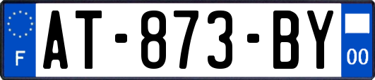 AT-873-BY