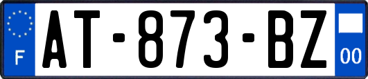 AT-873-BZ