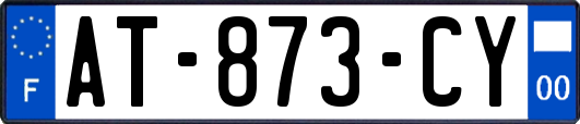 AT-873-CY
