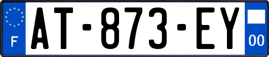 AT-873-EY