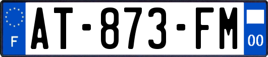 AT-873-FM