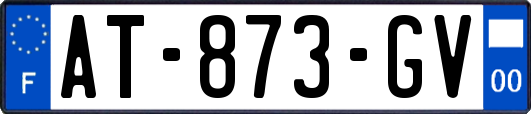 AT-873-GV