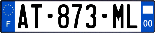 AT-873-ML