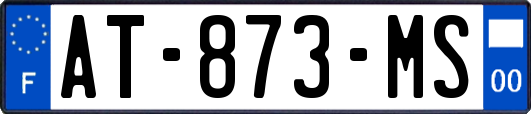 AT-873-MS