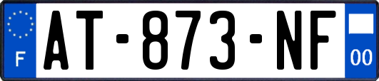 AT-873-NF