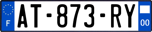 AT-873-RY