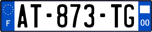 AT-873-TG