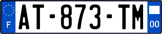 AT-873-TM