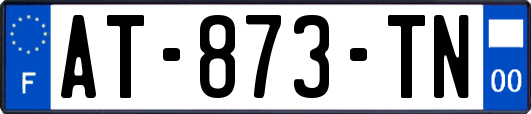 AT-873-TN