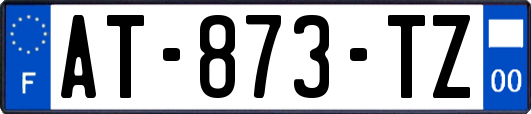 AT-873-TZ