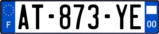 AT-873-YE
