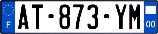 AT-873-YM