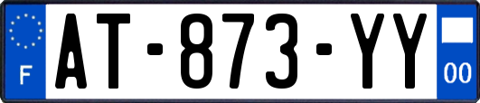 AT-873-YY