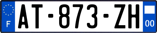 AT-873-ZH