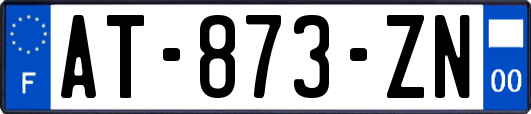 AT-873-ZN