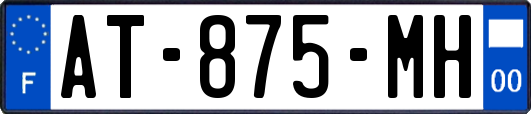 AT-875-MH