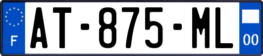 AT-875-ML