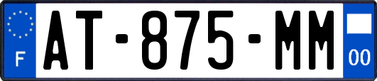 AT-875-MM