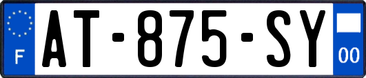 AT-875-SY