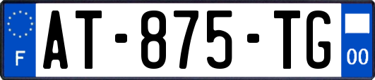 AT-875-TG