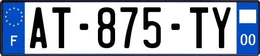 AT-875-TY