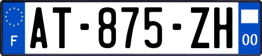 AT-875-ZH