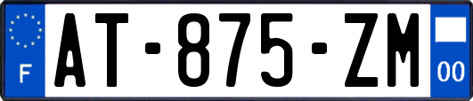 AT-875-ZM