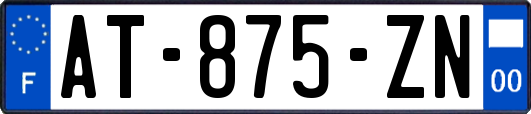 AT-875-ZN