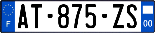 AT-875-ZS