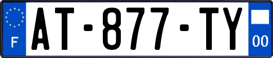 AT-877-TY