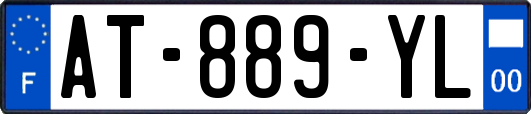 AT-889-YL