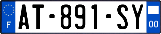 AT-891-SY