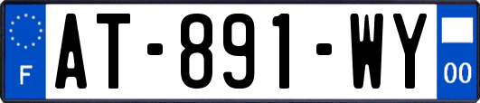 AT-891-WY