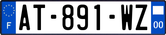 AT-891-WZ
