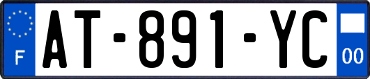 AT-891-YC