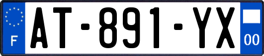 AT-891-YX