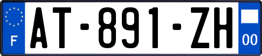 AT-891-ZH