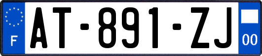 AT-891-ZJ