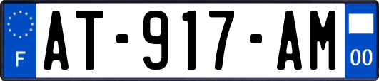 AT-917-AM